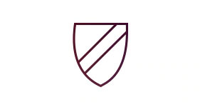 Security-icon