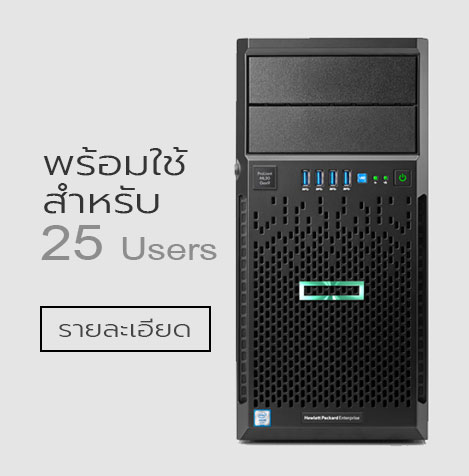 Server for 25 Users